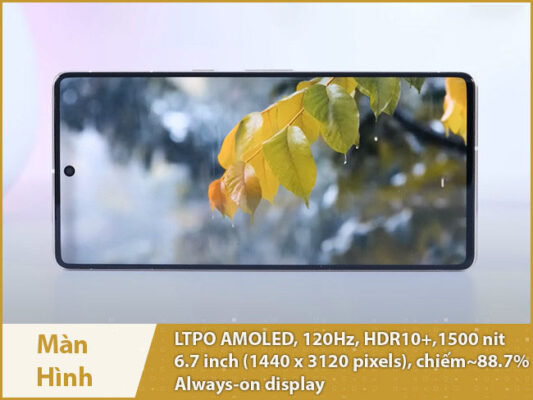 google pixel 7 pro danh gia man hinh