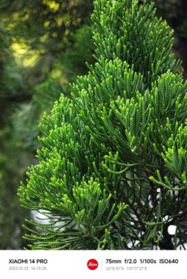 Xiaomi 14 pro.5