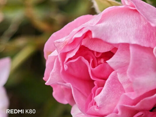 z6087042313671 21f6b05528c22037f5a15b18bd0204e8