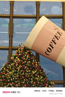 z6088804360599 b6d531c55903cf167d82a265dacaa98b