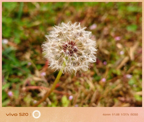 z6445408153227 129dc4af9b674e2ce05d2aa998df2440