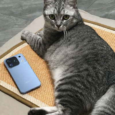 oppo find x10 pro max ro ri 03